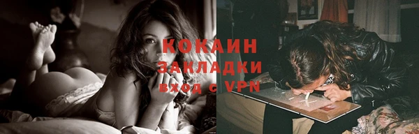 соль ск Михайлов