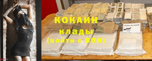 сатива Абаза