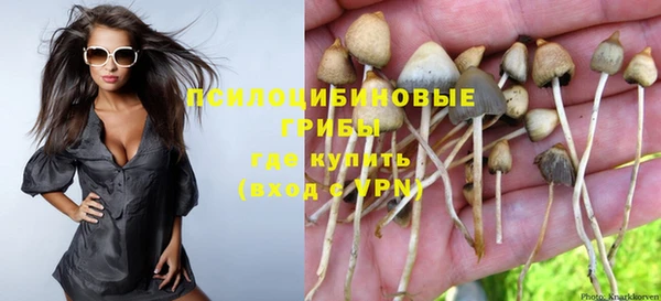 сатива Абаза