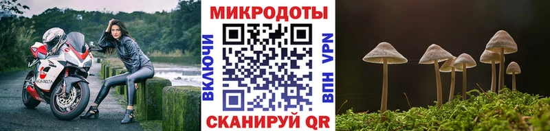 Псилоцибиновые грибы Magic Shrooms  купить  сайты  Мурино 